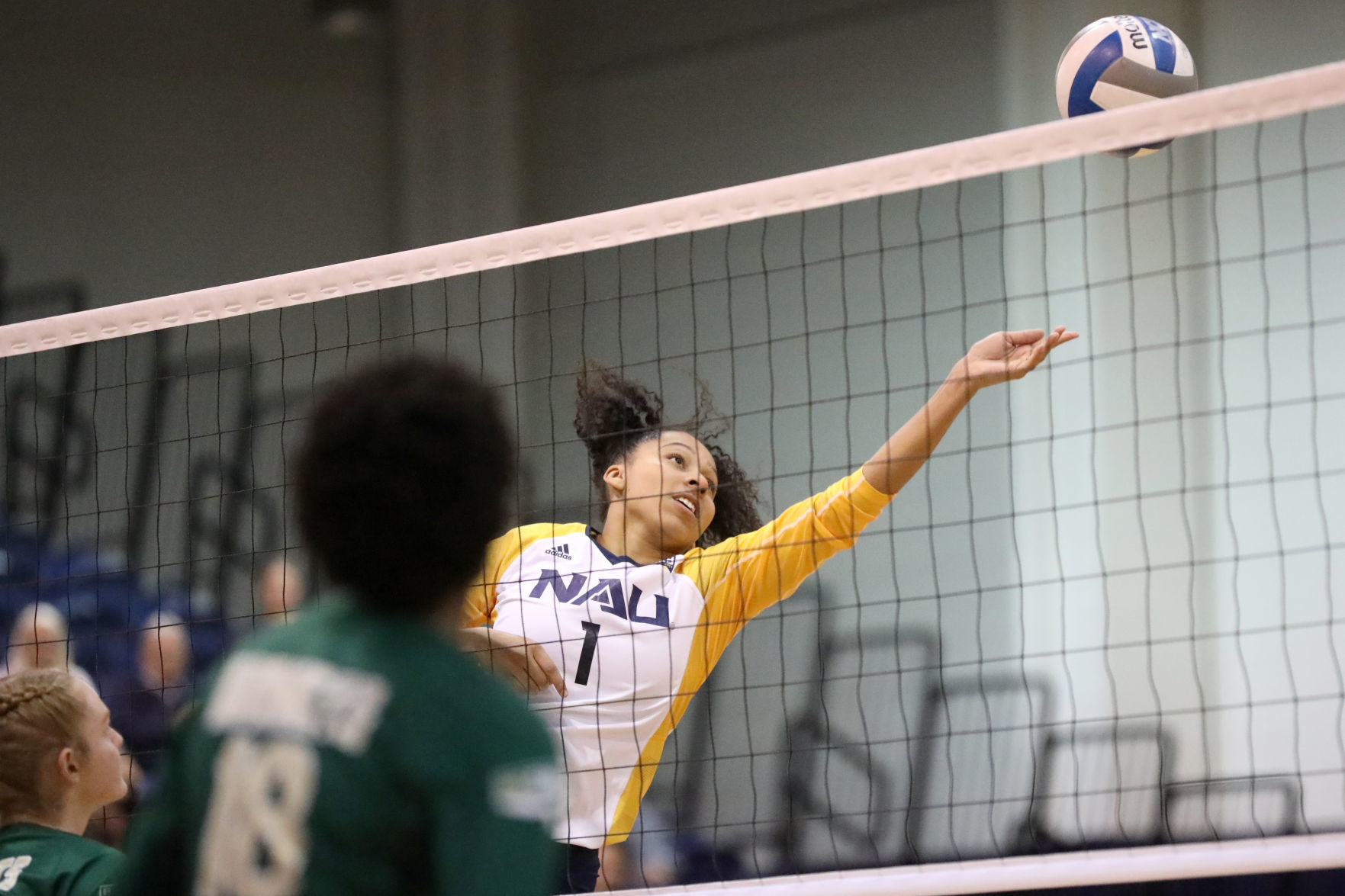 NAU Volleyball